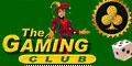 The Gaming Club Online Casino. More Winners, More Often!