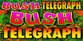 Bush Telegraph game.