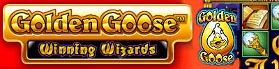 Golden Goose Winning Wizards Video Slot.