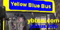 Yellow Blue Bus, ybbus.com domain.