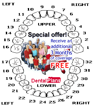 Teeth. Dental plans. Special offer. Receive an additional 3 months of coverage free.