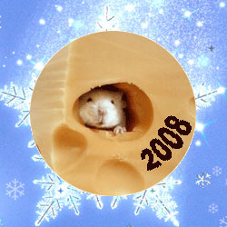 Happy New Year 2008!